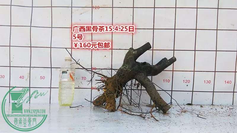 psb (9).jpg