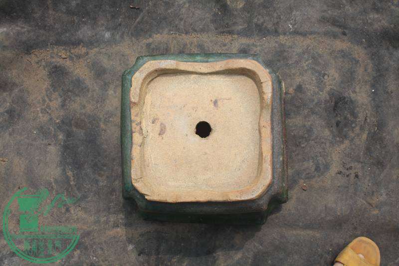 Ƭ20131026ۺ 3107.jpg