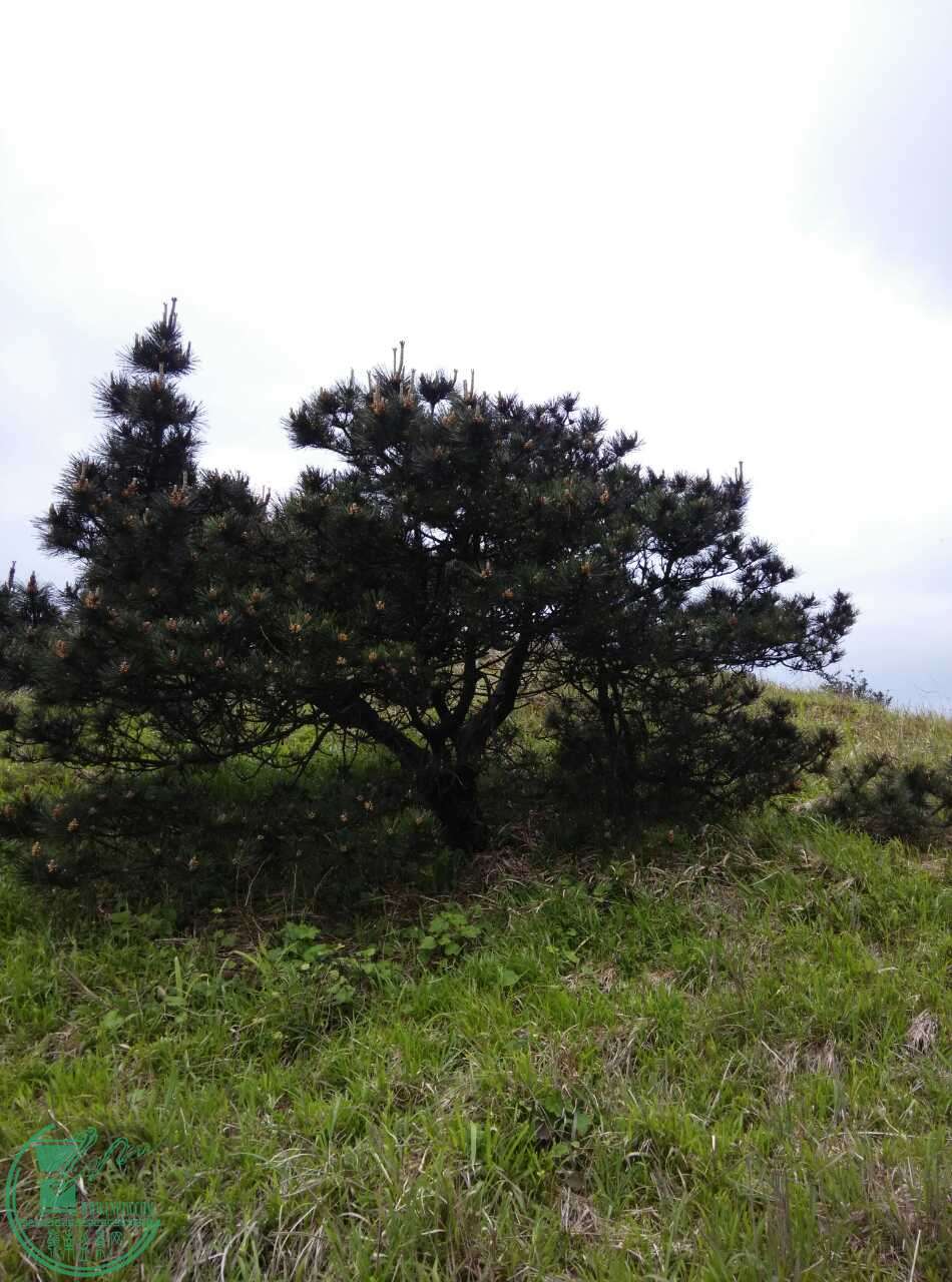 1521_4496494.jpg