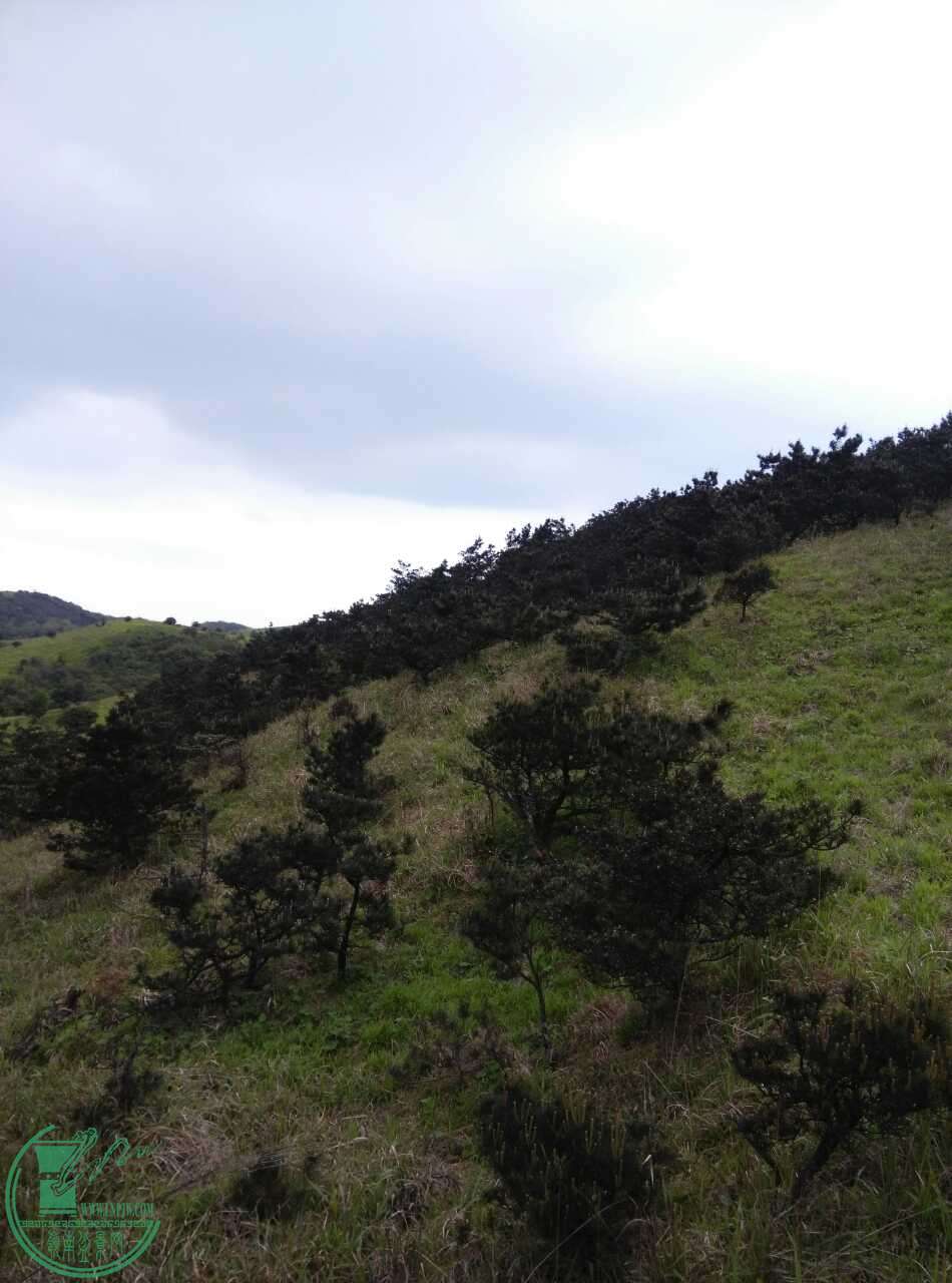9542_4532827.jpg