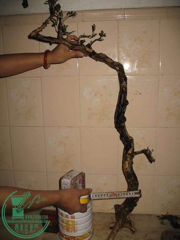030.JPG