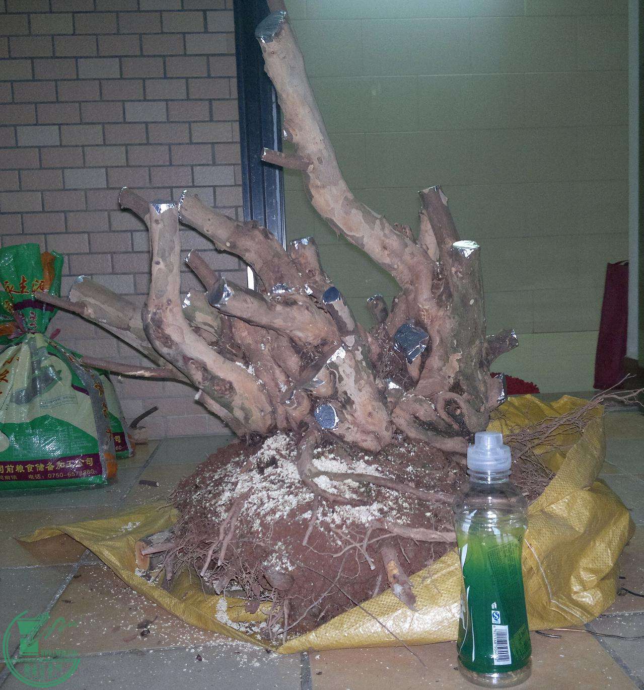 201504252414.jpg