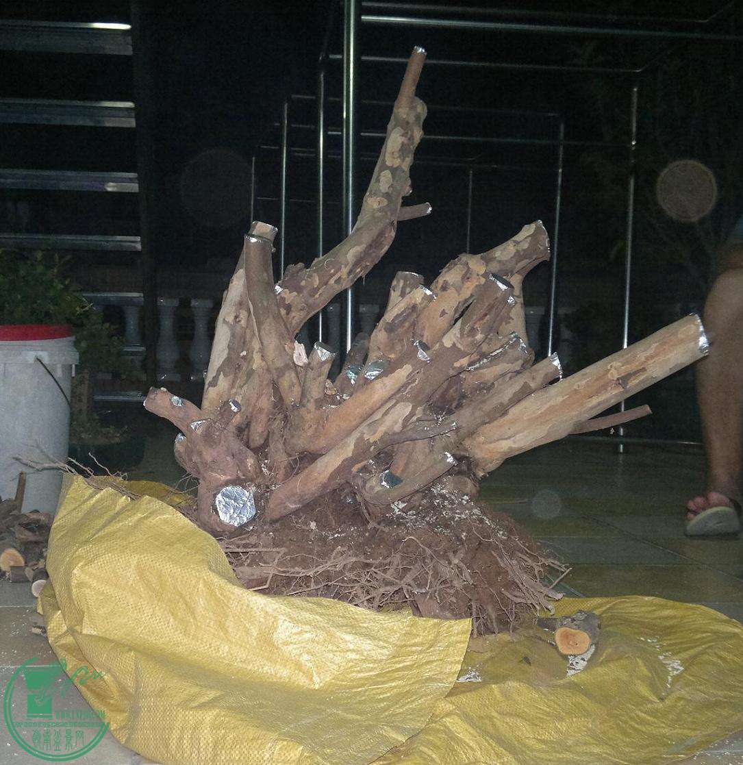 201504252416.jpg