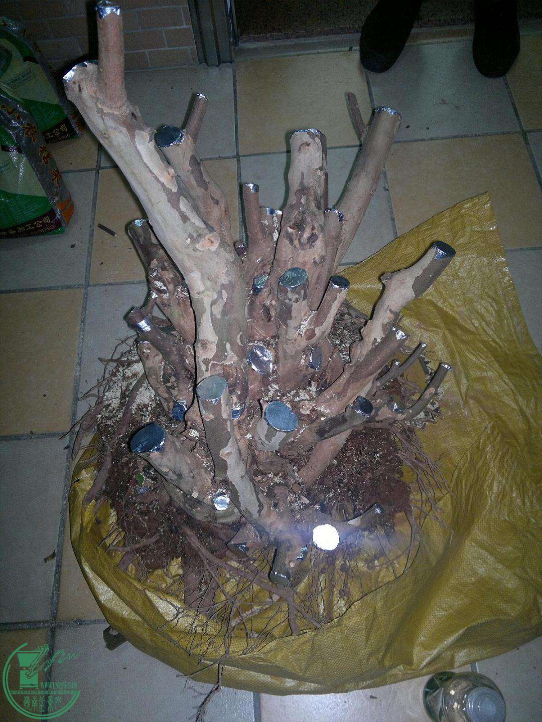 201504252419.jpg