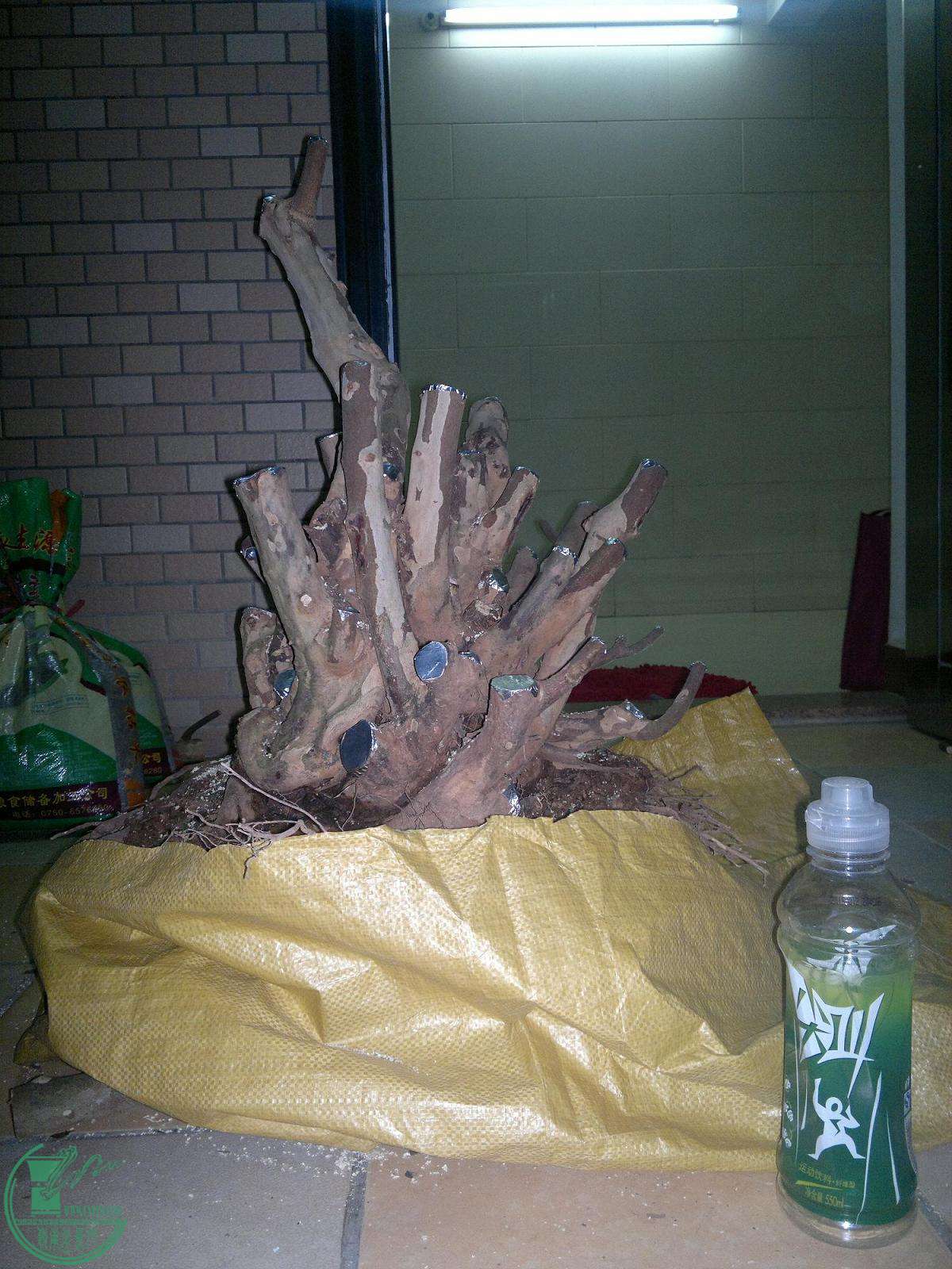 201504252418.jpg
