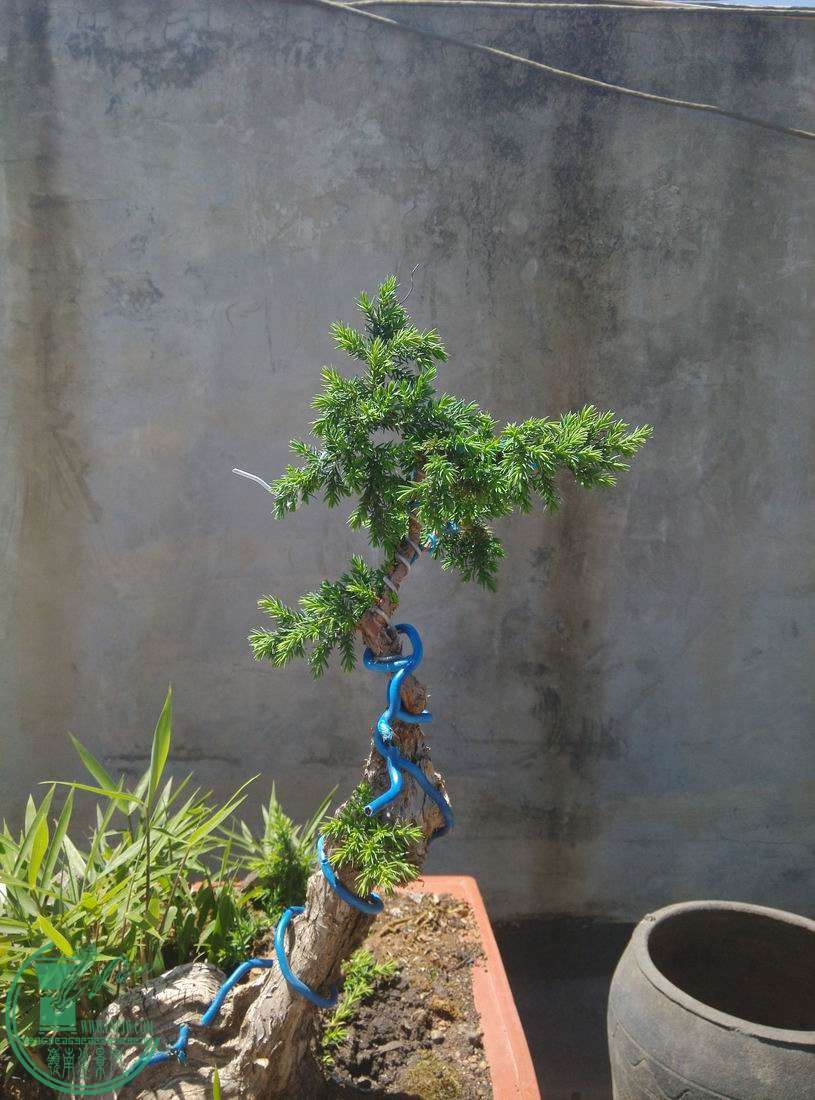    һͼƬ