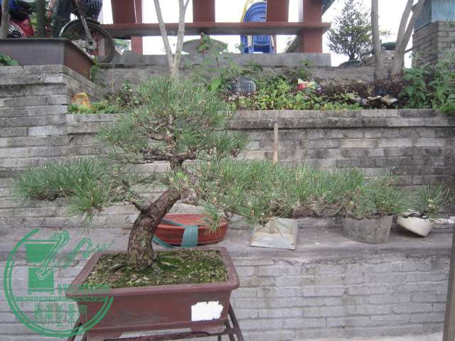  258.jpg