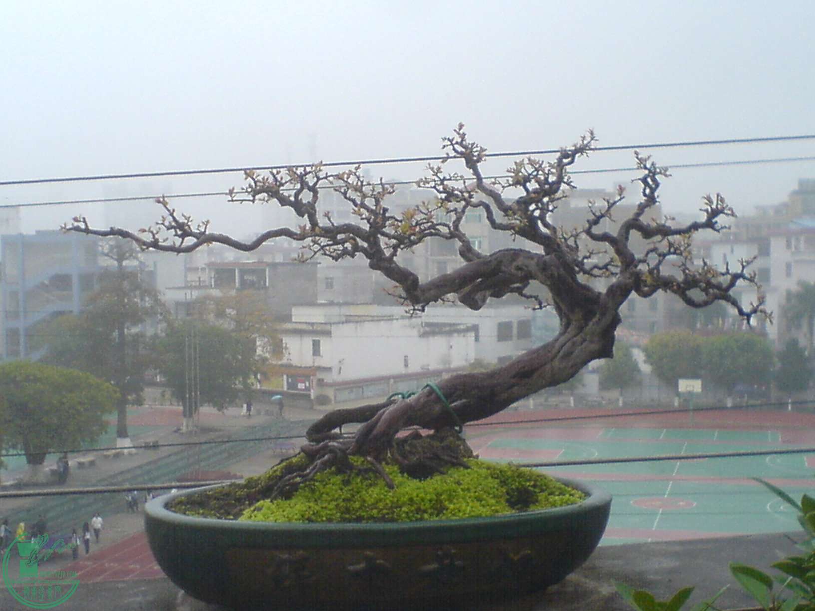 DSC01550.JPG