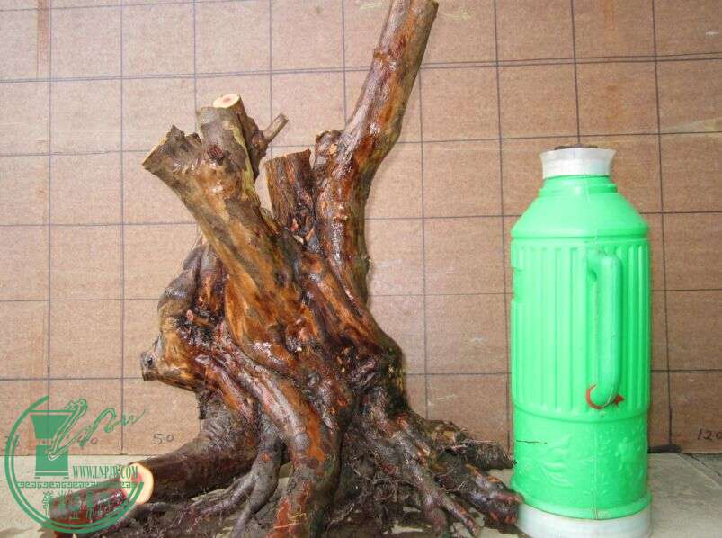ȸ2.jpg