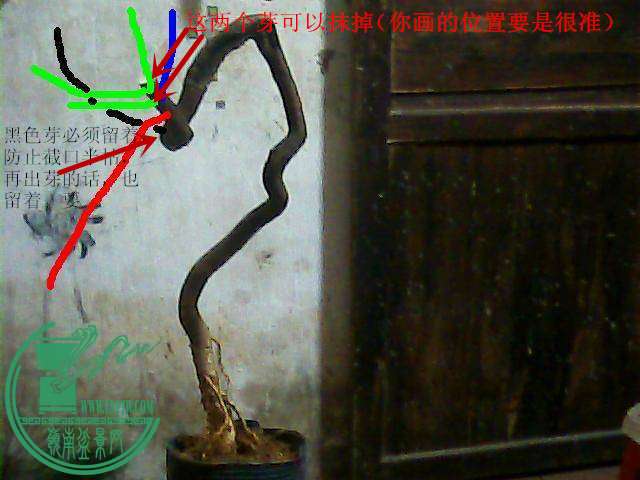 202712wp7s68sdh7vivv7y_jpg_thumb.jpg