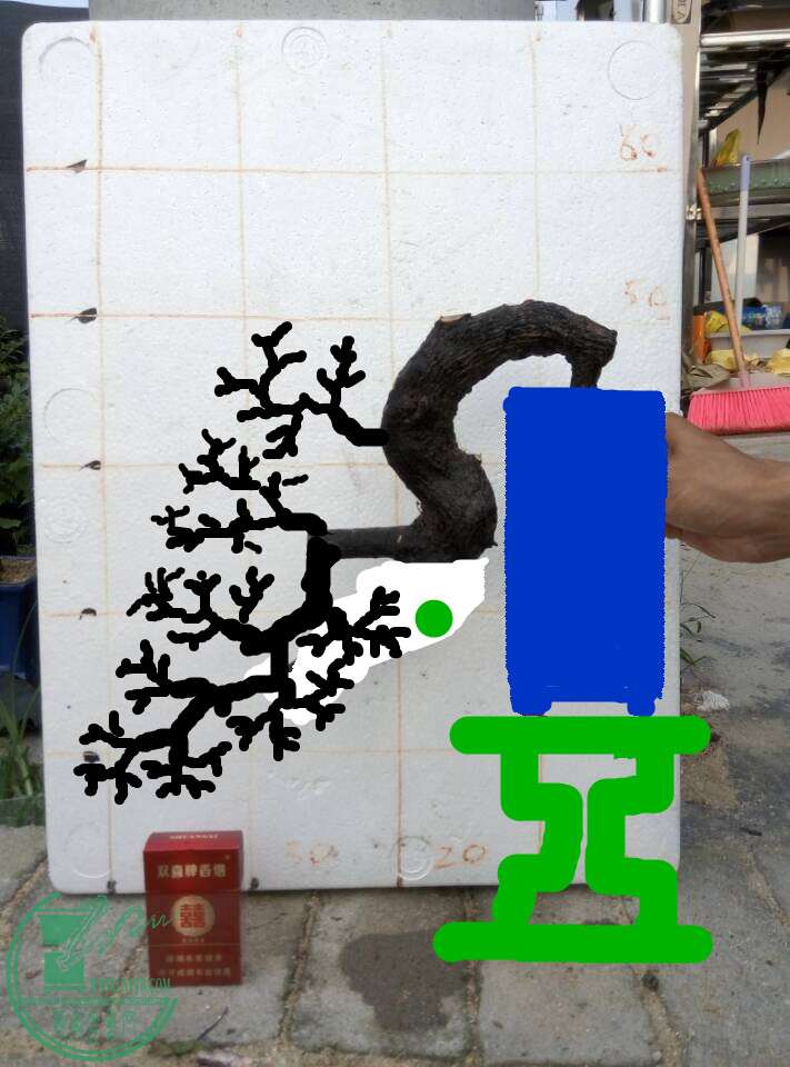 2_.jpg