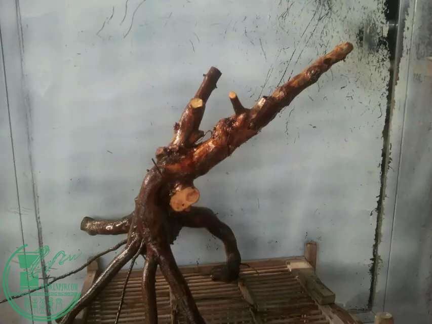 24.jpg