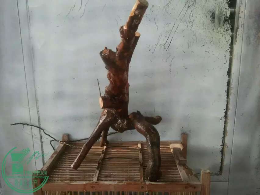 26.jpg