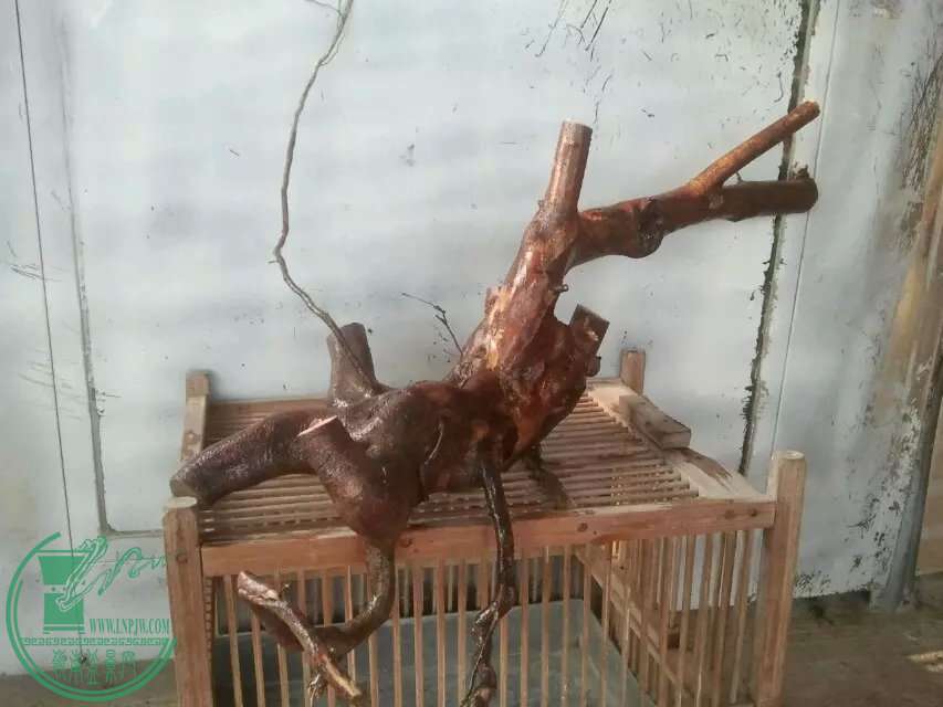 27.jpg