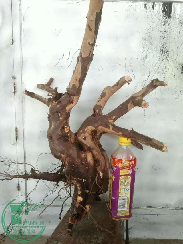 37.jpg