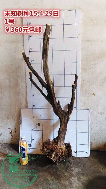 psb (3).jpg