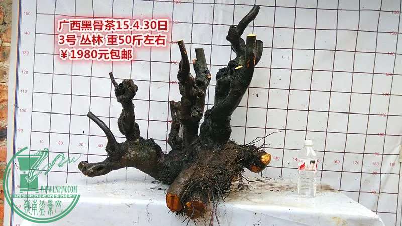 psb (10).jpg