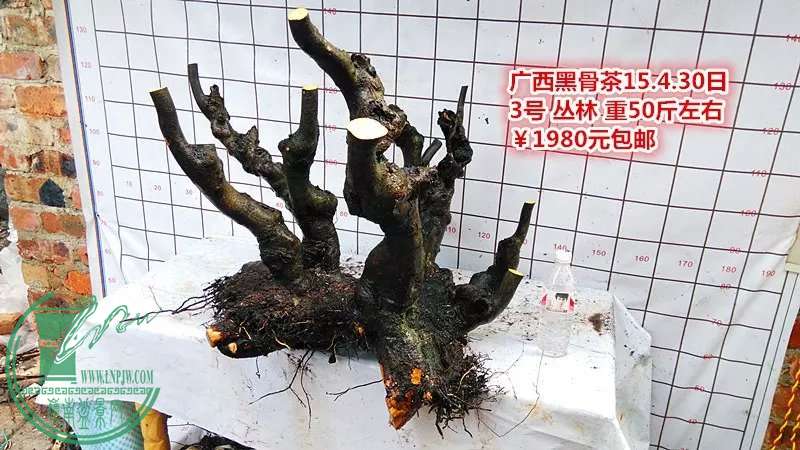 psb (16).jpg