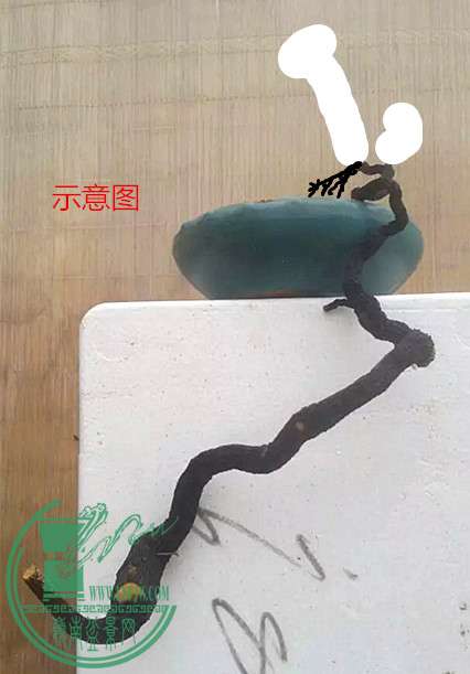 1__2.jpg