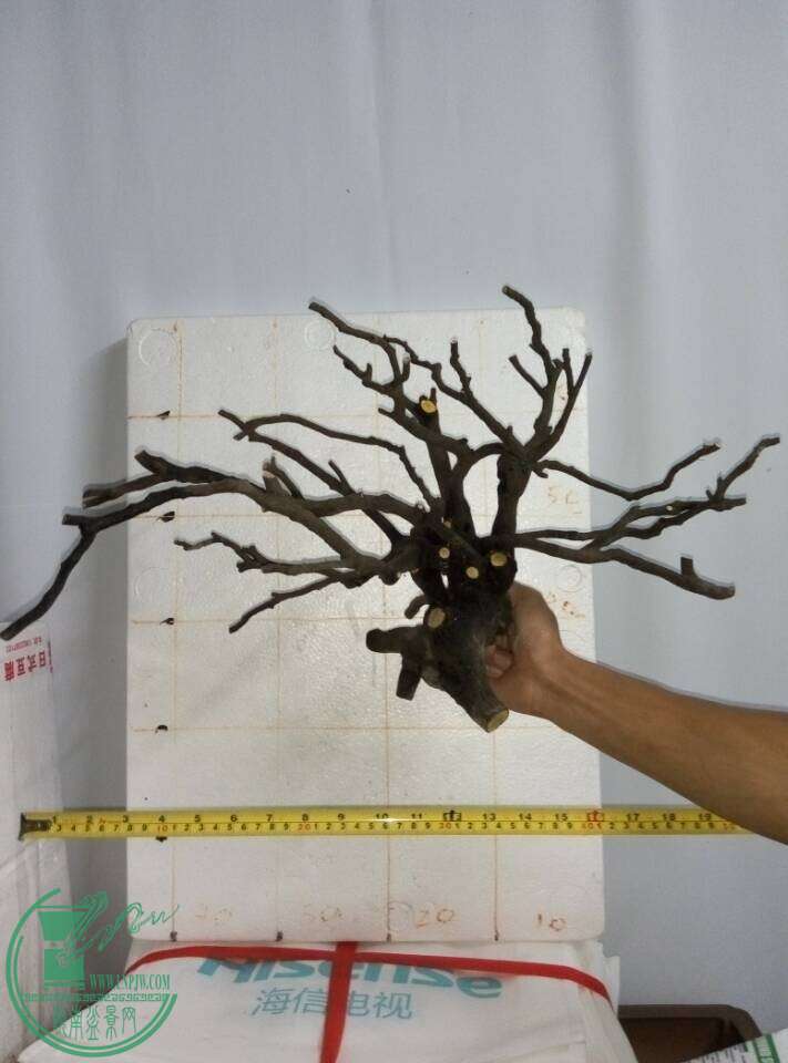 700.jpg