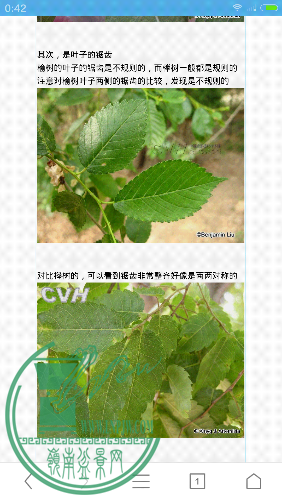 Screenshot_2015-05-02-00-42-01.png
