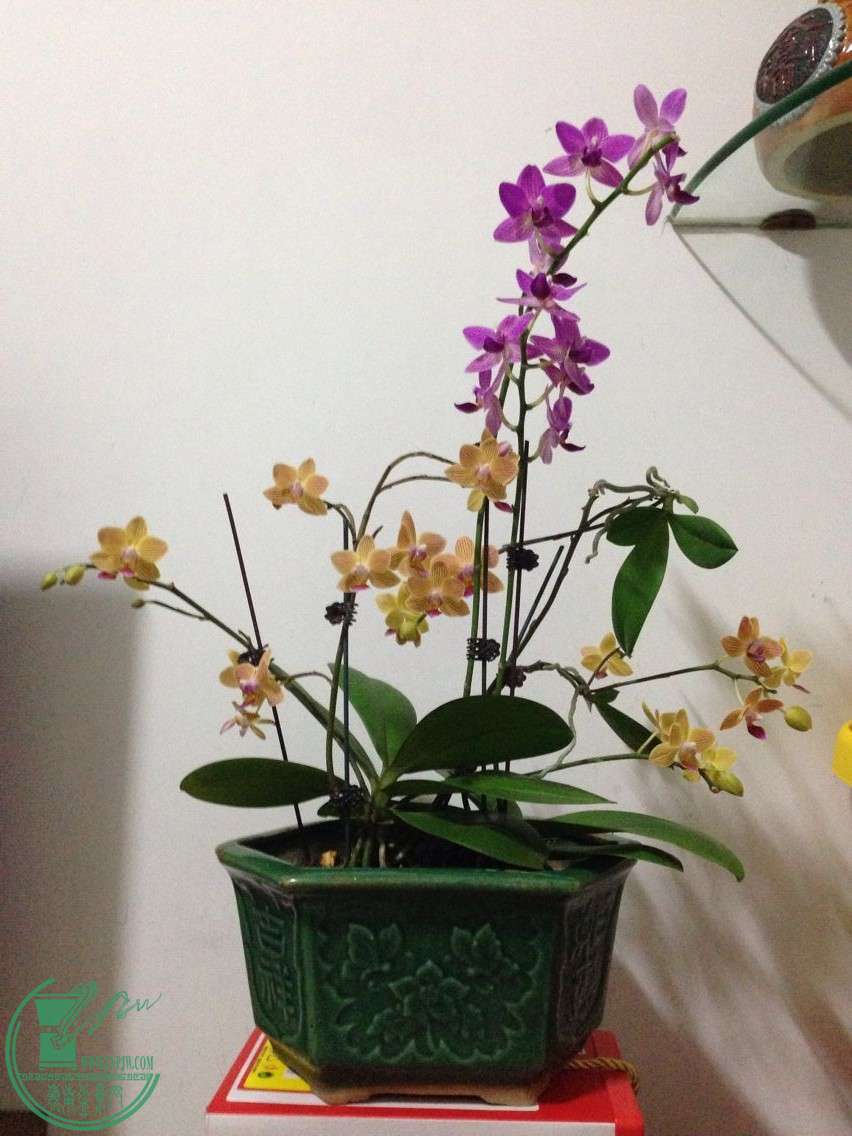 QQͼƬ20150503094326.jpg