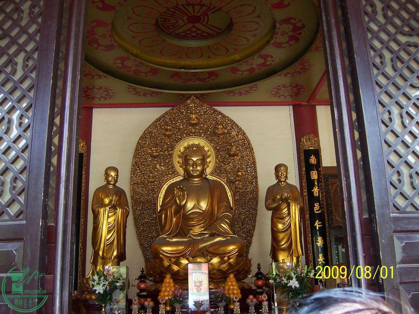 100_3781.JPG