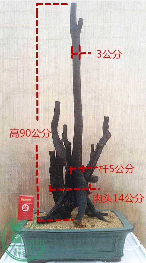 1_1.jpg