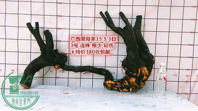 psb (11).jpg