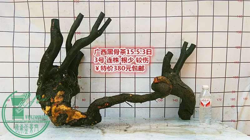 psb (12).jpg