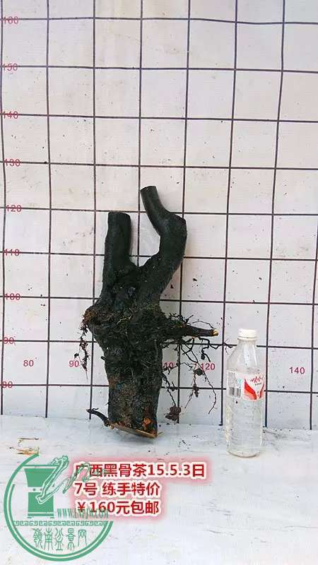 psb (20).jpg