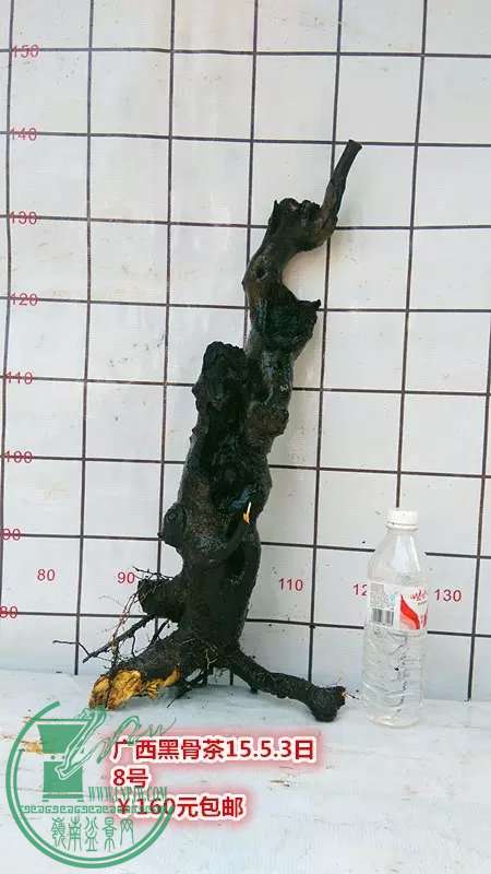 psb (22).jpg