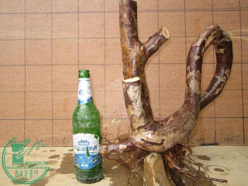 ͼ22.jpg