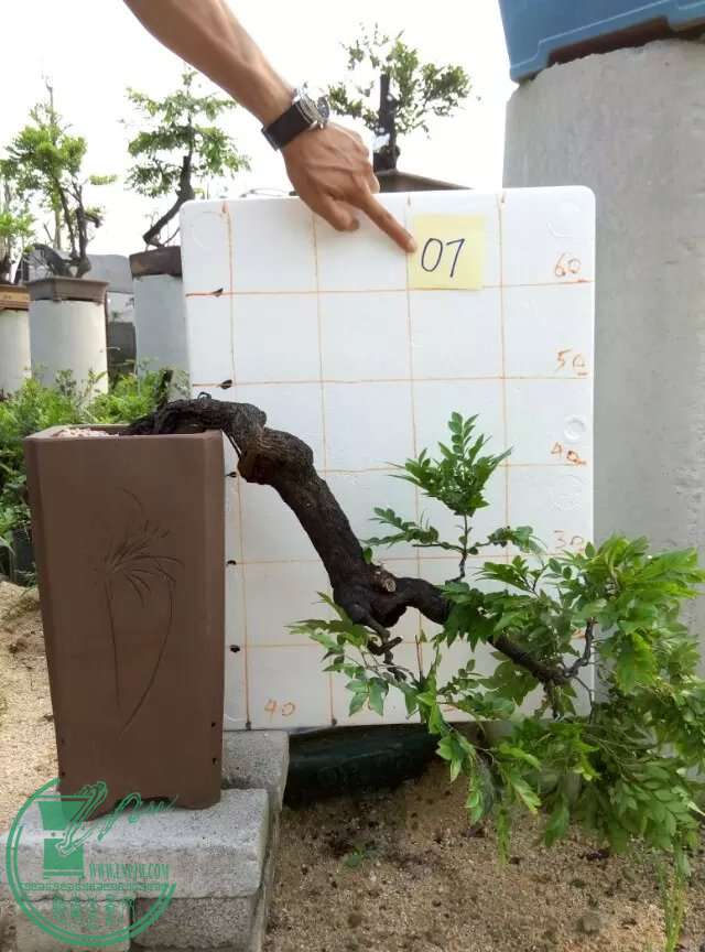 psb (61)840.jpg