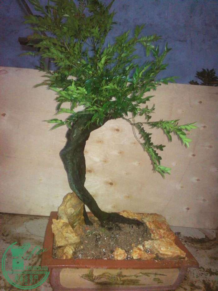 QQͼƬ20150503222812.jpg