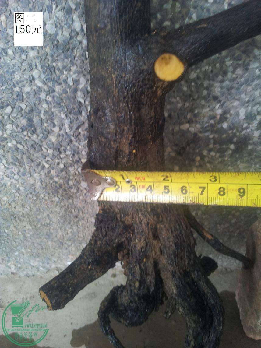 20150505_101041.JPG