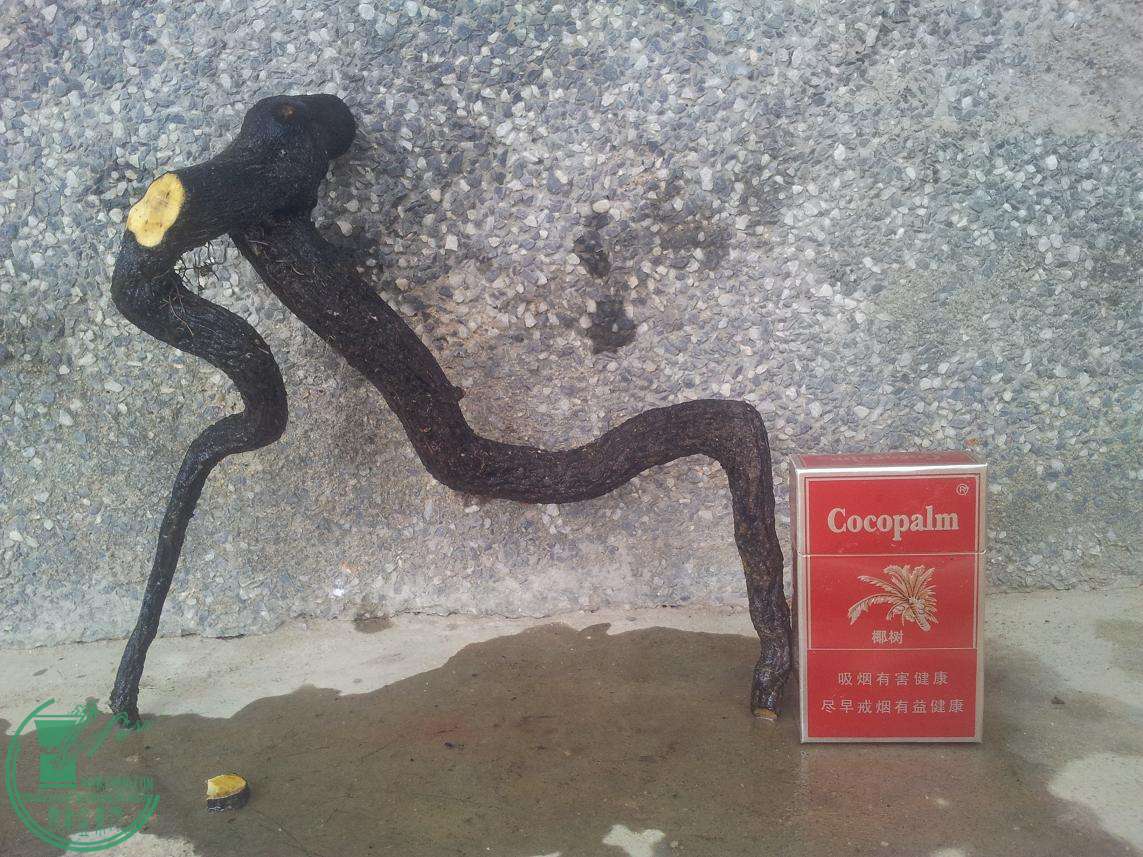 20150505_101334.JPG