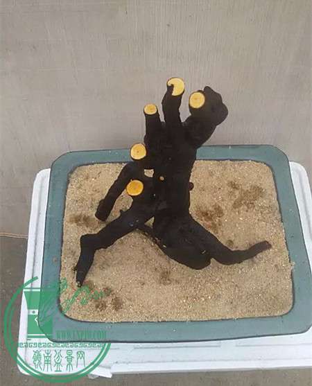 8_.jpg