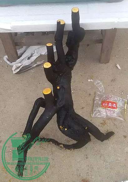 9_.jpg