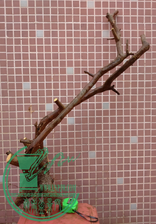_F[278`NYU~S%7N`50@U437.png