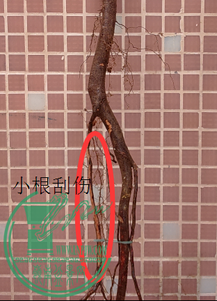 J8W3CA3$P9THB2Y{WJA5M.png