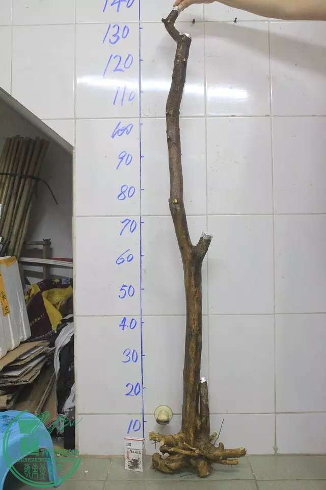 psb (8).jpg