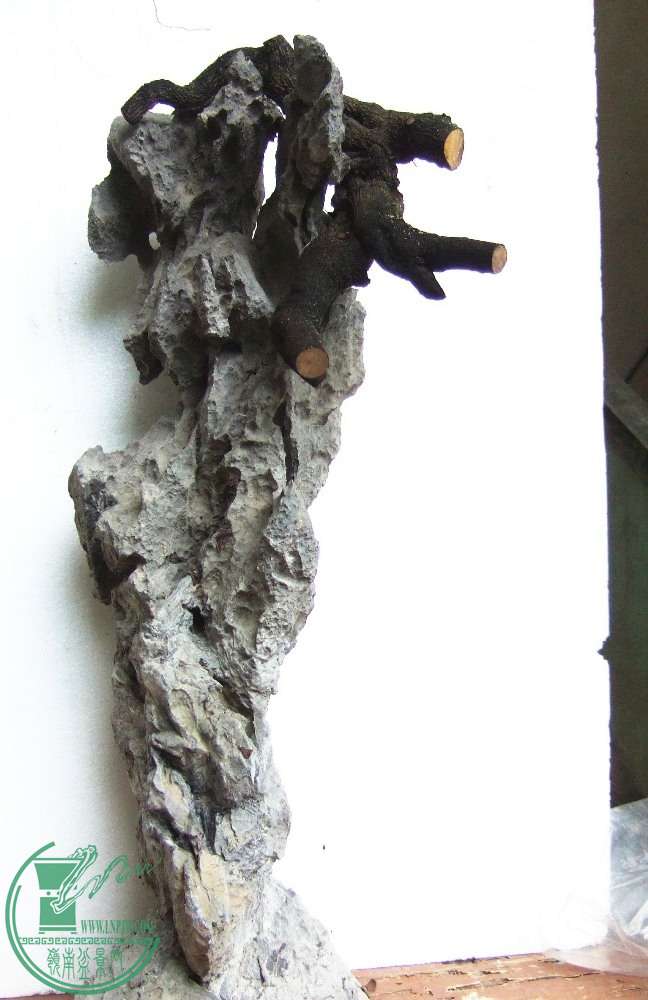 DSCF6354.JPG