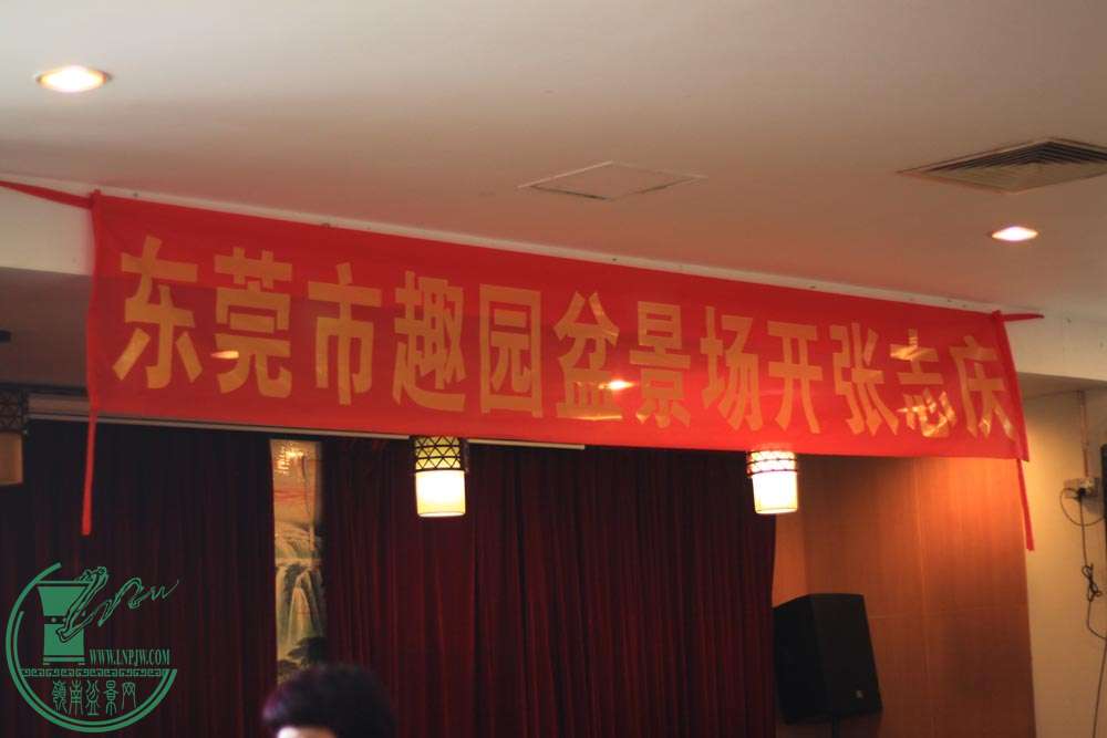 IMG_2644.JPG