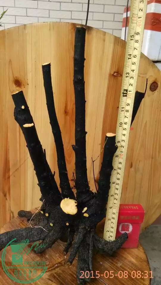 psb (9).jpg