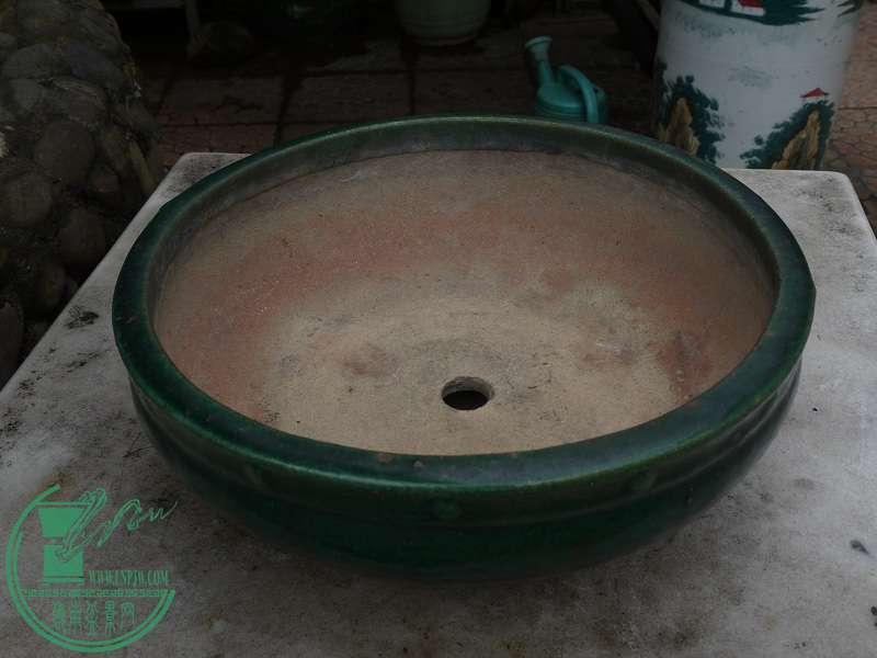 P1200874.JPG