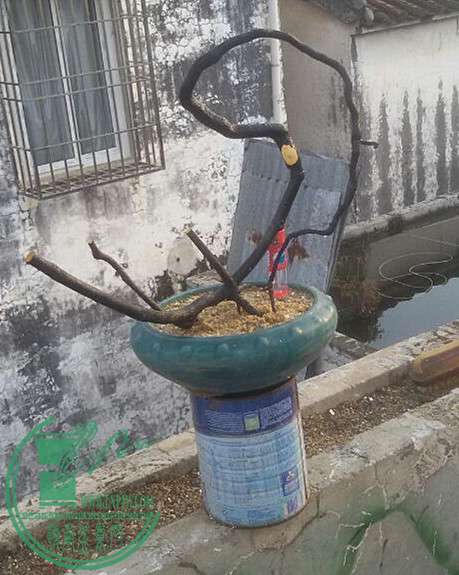 14_.jpg