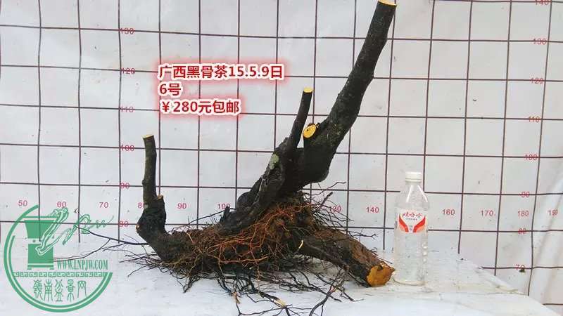 psb (11).jpg