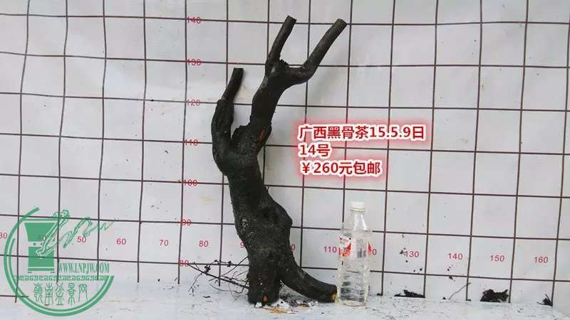psb (27).jpg