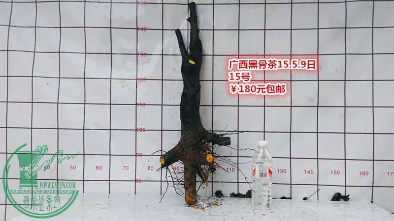 psb (30).jpg